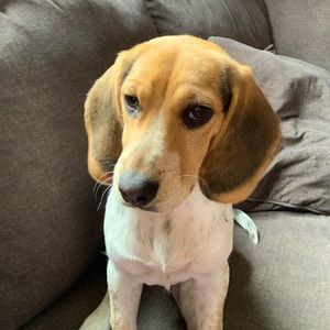 Meet your Posher, Robyn